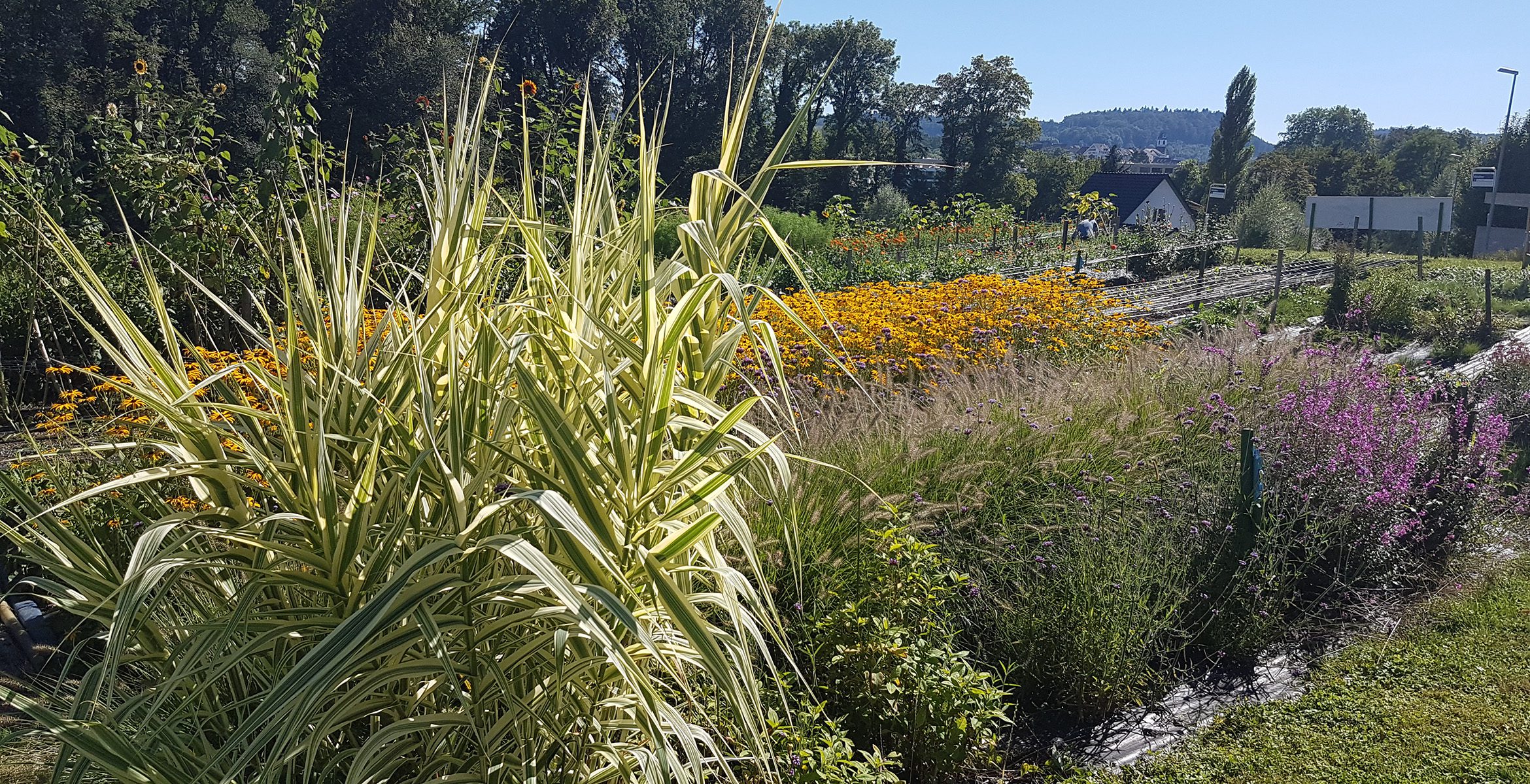 Garten Obstgarten, © Obstgarten