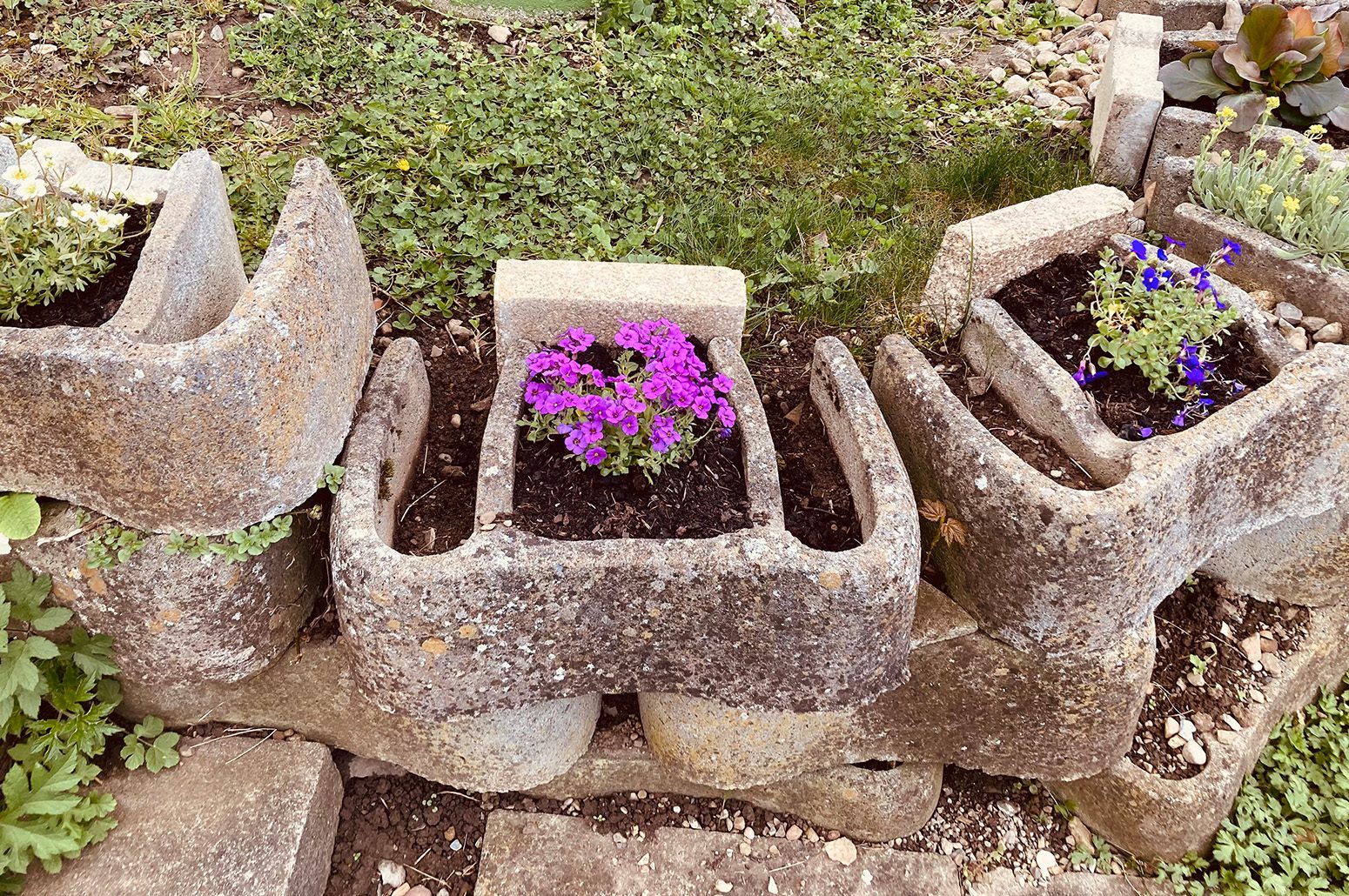 Neue Bodendecker zieren die Mauersteine, © Kinder- und Jugendhaus Paradies.