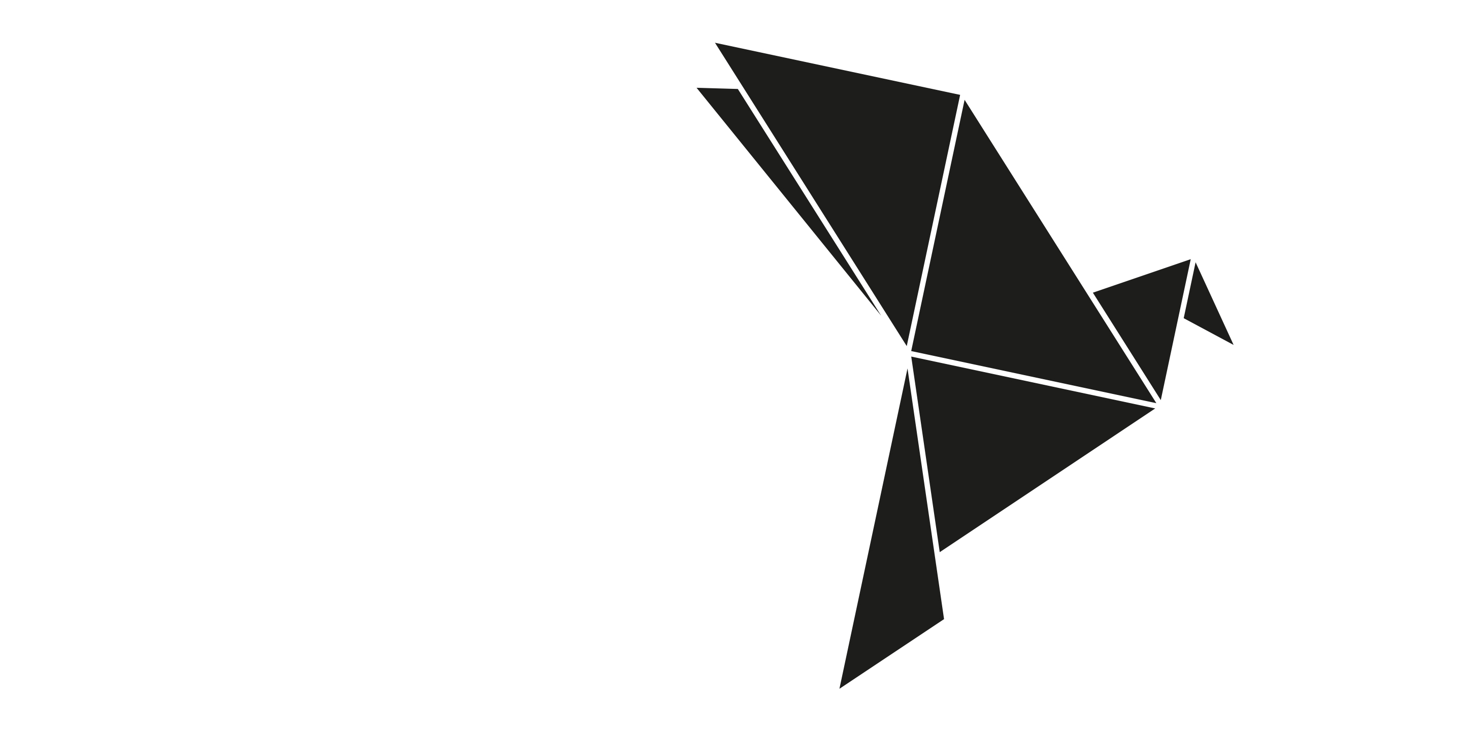 Origami_PLatzhalter_Header